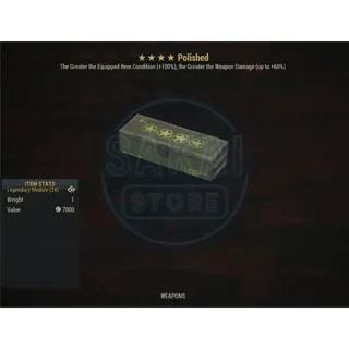 POLISHED MOD