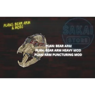 PLAN | BEAR ARM & MODS 