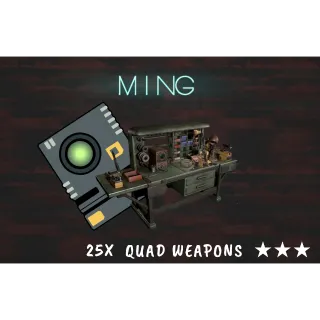 25X QUAD WEAPONS