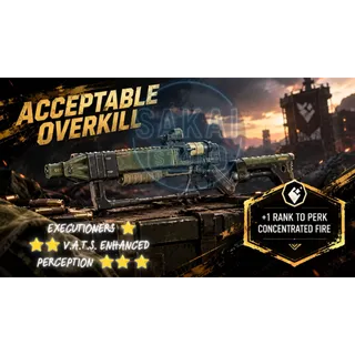 ACCEPTABLE OVERKILL