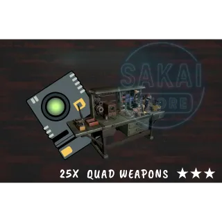 25X QUAD WEAPONS