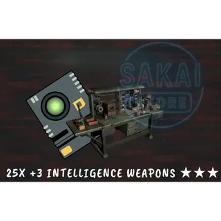 25X +3 INTELLIGENCE WEAPONS