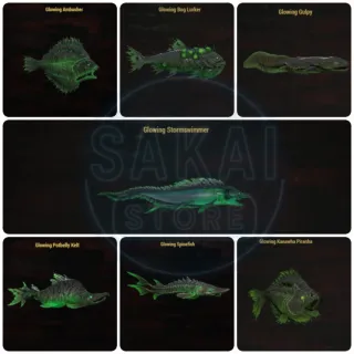 GLOWING FISH BUNDLE