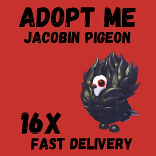 16X ACOBIN PIGEON ADOPT -  ME 