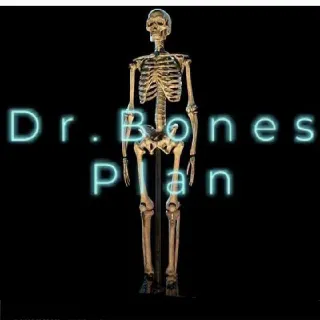 Dr Bones Plan