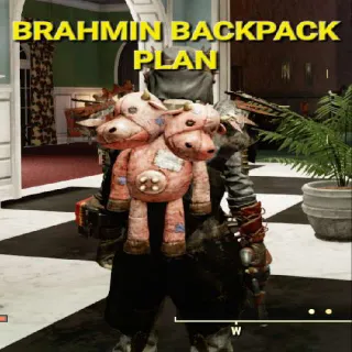 Brahmin Backpack Plan