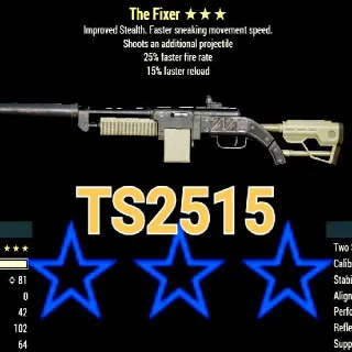 Weapon | Ts2515 The Fixer