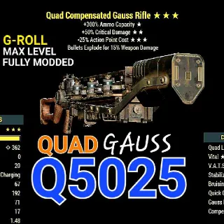 Q5025 Gauss Rifle