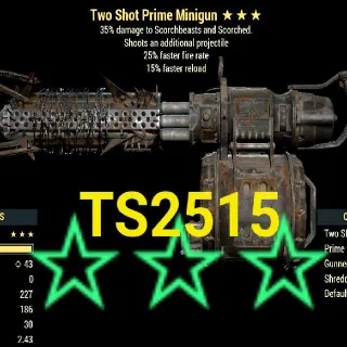 Weapon | Ts2515 Minigun