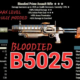 B5025 ASSAULT RIFLE