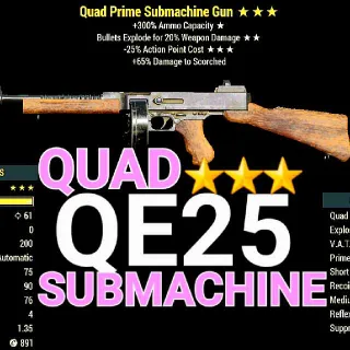 Qe25 Assault Rifle