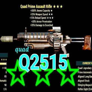 Q2515 Assault Rifle