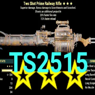 Weapon | Ts2515 Railway Rifle