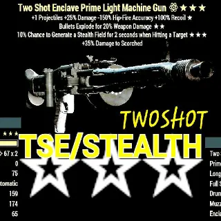 Weapon | TseStealth LMG