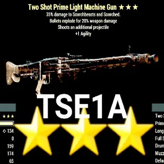 Weapon | Tse1a LMG