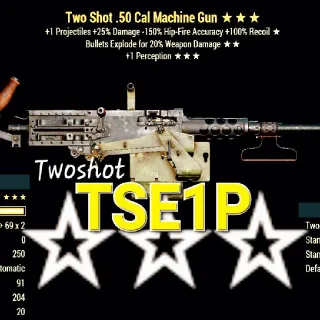 Weapon | Tse1p 50cal Machine Gun
