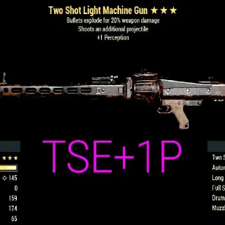 Weapon | Tse1p LMG