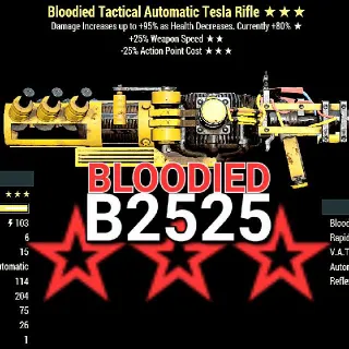 B2525 Tesla