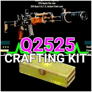 Q2525 Handmade Craf Kit