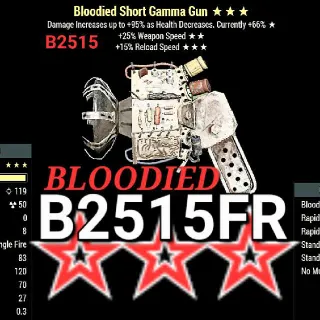 B2515 Gamma Gun