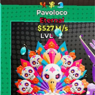 Pavoloco