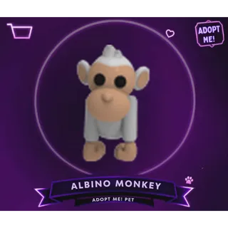 ALBINO MONKEY