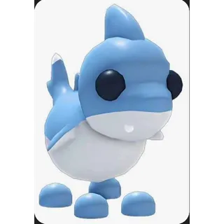 Shark Puppy
