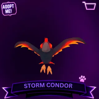 4X STORM CONDOR