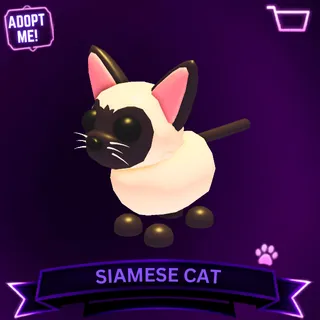 SIAMESE CAT