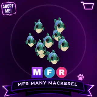 MFR MANY MACKEREL