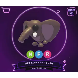 NFR ELEPHANT BUSH