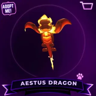 AESTUS DRAGON