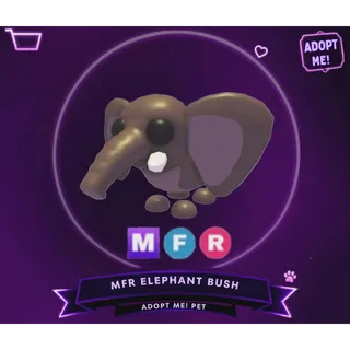 MFR ELEPHANT BUSH