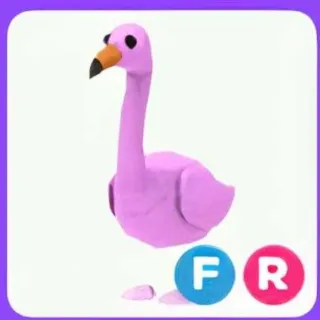 FR FLAMINGO