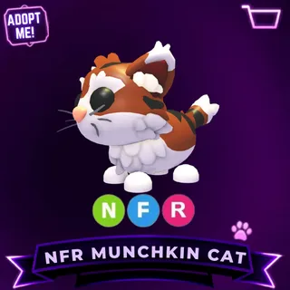 NFR MUNCHKIN CAT