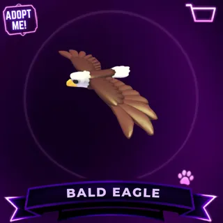 4x BALD EAGLE