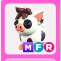 MFR MINI PIG
