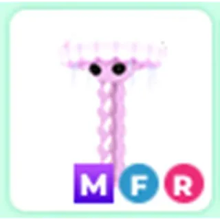 MFR JELLYFISH