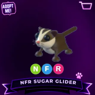 NFR SUGAR GLIDER