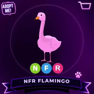 NFR FLAMINGO