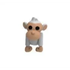 ALBINO MONKEY