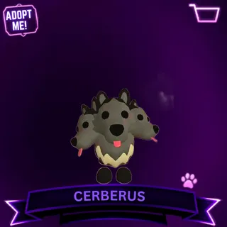 4x CERBERUS