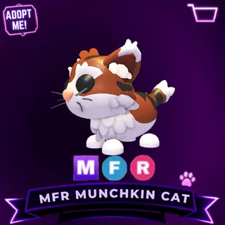 MFR MUNCHKIN CAT