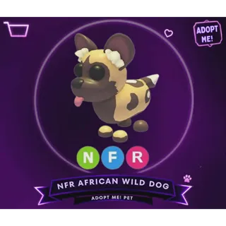NFR AFRICAN WILD DOG