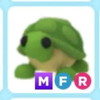 MFR TURTLE