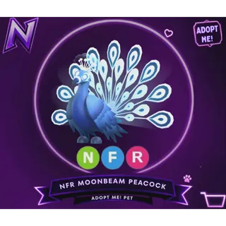 NFR MOONBEAM PEACOCK