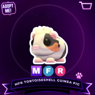 MFR TORTOISESHELL GUINEA PIG