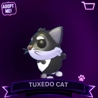 16x TUXEDO CAT