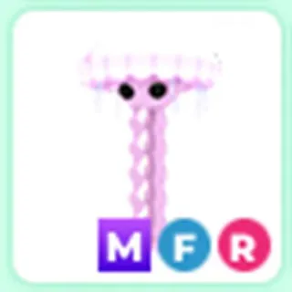 MFR JELLYFISH