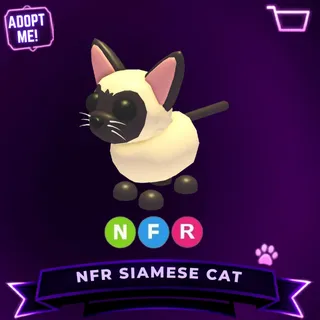 NFR SIAMESE CAT